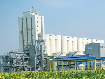 Solvent extraction plant and storage silos beside a sunflower field